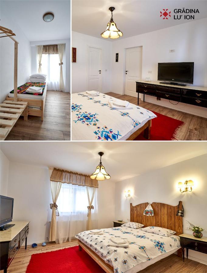 Gradina Lu' Ion "A Home Away From Home" (Adults Only) Vişeu de Sus Exterior foto