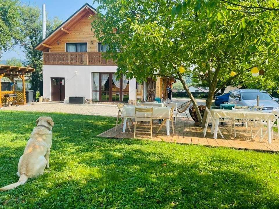 Gradina Lu' Ion "A Home Away From Home" (Adults Only) Vişeu de Sus Exterior foto