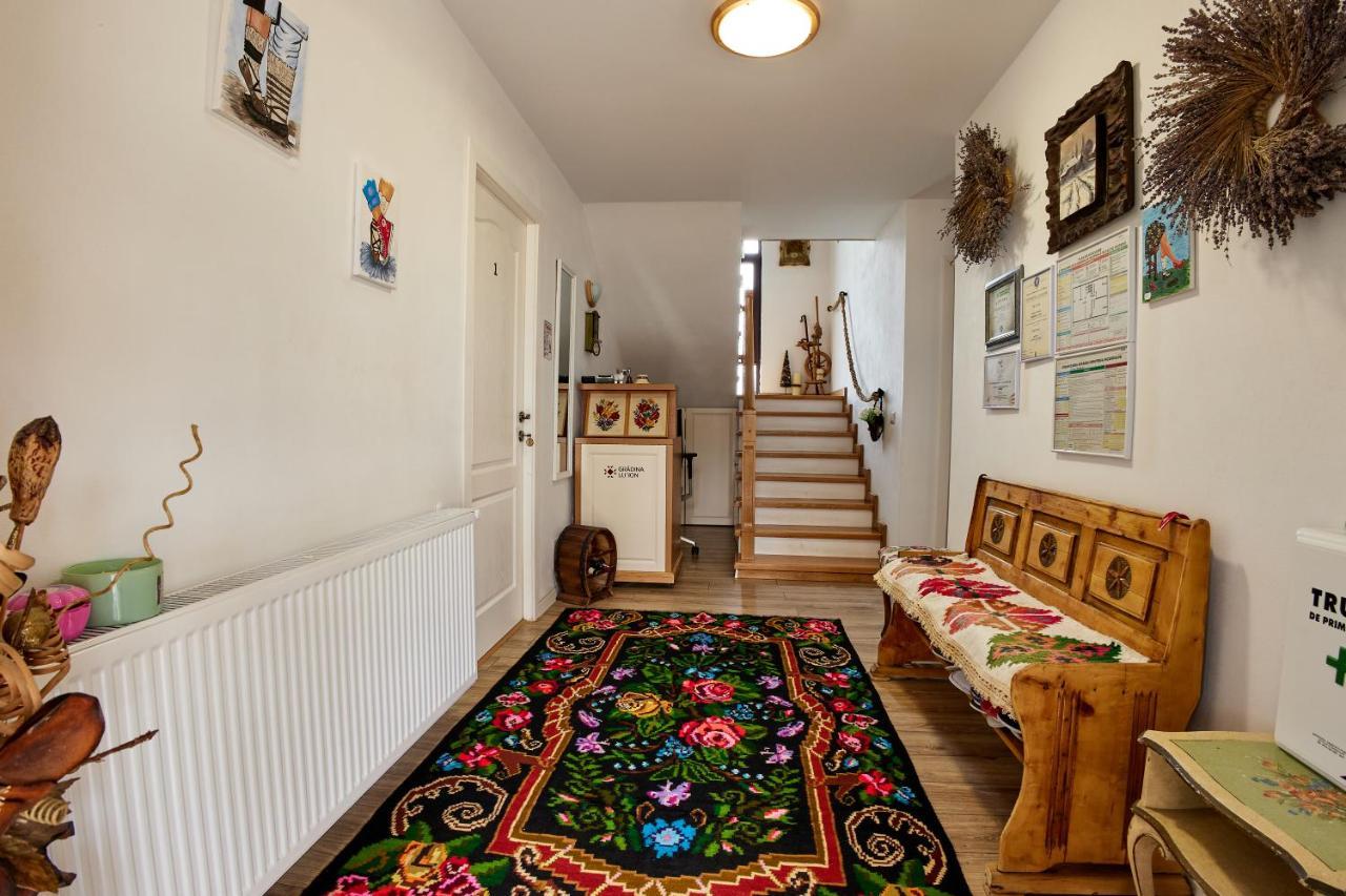 Gradina Lu' Ion "A Home Away From Home" (Adults Only) Vişeu de Sus Exterior foto